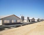 Easy Accessibility Pre-Engineered Metal Farm Equipment Buildings