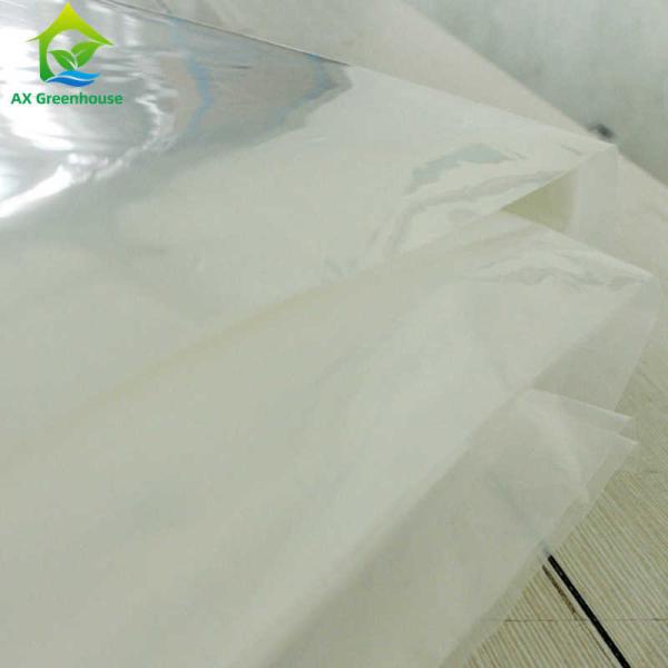Transparent 200 Mirco Greenhouse Cover Materials Multispan Greenhouse Plastic
