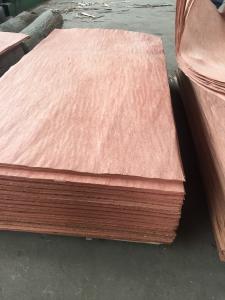 Quality Bintangor veneer wholesale