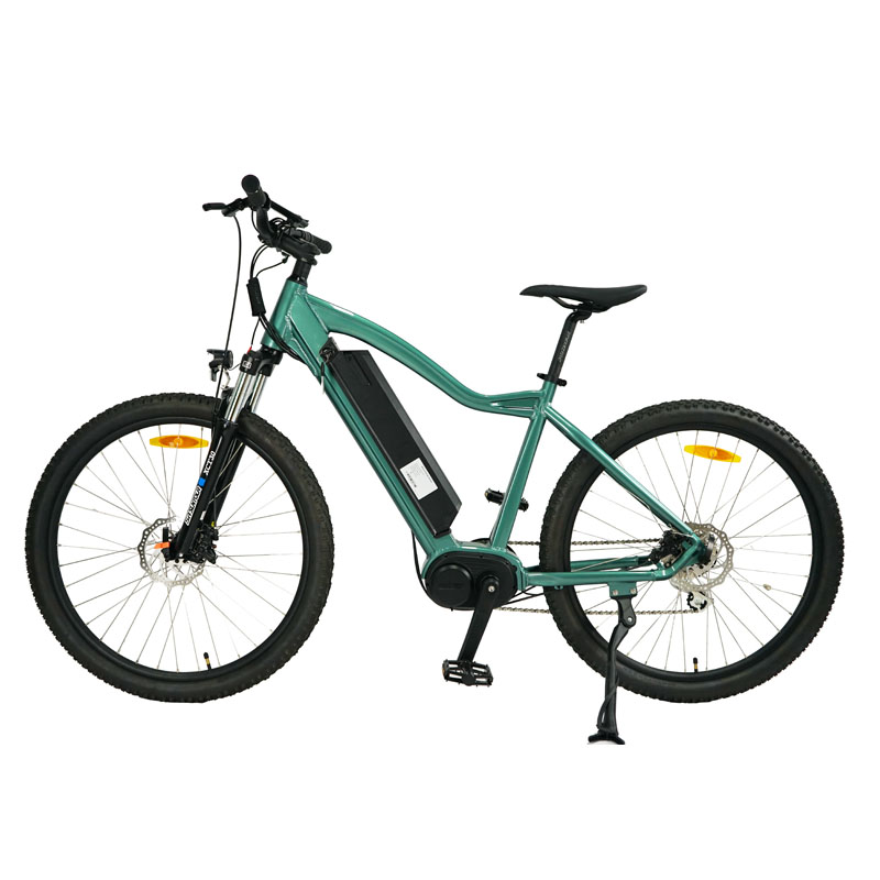 36V 9.6Ah Removable Battery 750W Brushless Motor 8 Speed Fat Tire E Bike for Adults