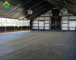 Commercial Backyard Light Dep Greenhouse Plastic Film Hot Galvanized Steel
