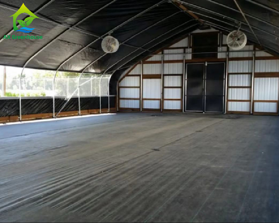 Commercial Backyard Light Dep Greenhouse Plastic Film Hot Galvanized Steel Greenhouse