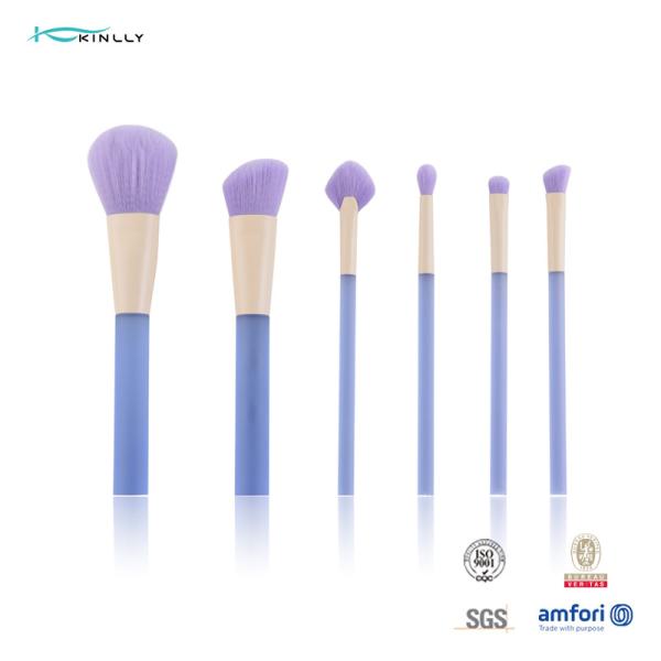 Easy To Clean 6pcs Makeup Brush Cosmetic Set With Synthetic Hair Clear Plastic