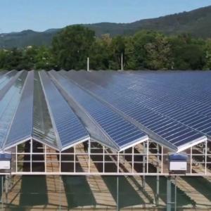 Quality Steel Structure Greenhouses Energy- jx-SG-21 Thermal Insulation Technology with Standards wholesale