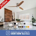 TUYA App-Controlled 2 IN 1 LED Light Ceiling Fan Low Ceiling Solid Wood Blades