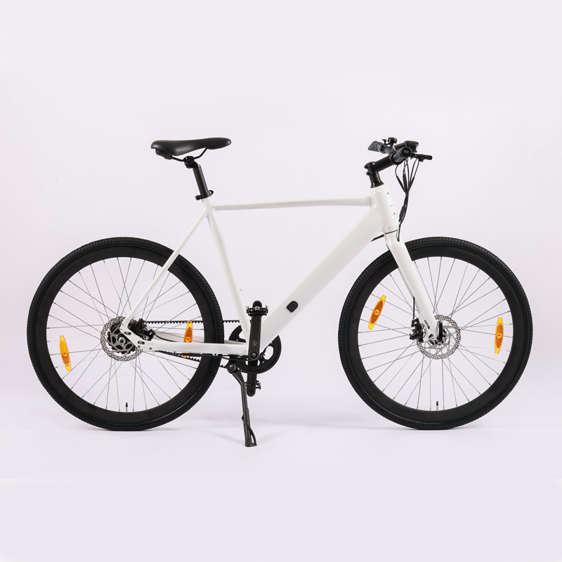 Fashionable Rear Suspension Electric Bike for Adult 48V 250W 500W Road Bicycle