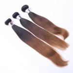 Factory supply Ombre 3 Color Silky Straight 100G Malaysian Remy Hair Extension