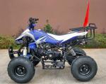 Front / Rear Disc Brake Four Wheelers For Adults , 110cc Four Wheeler Electric
