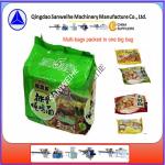 Reciprocating Type Packaging Machine