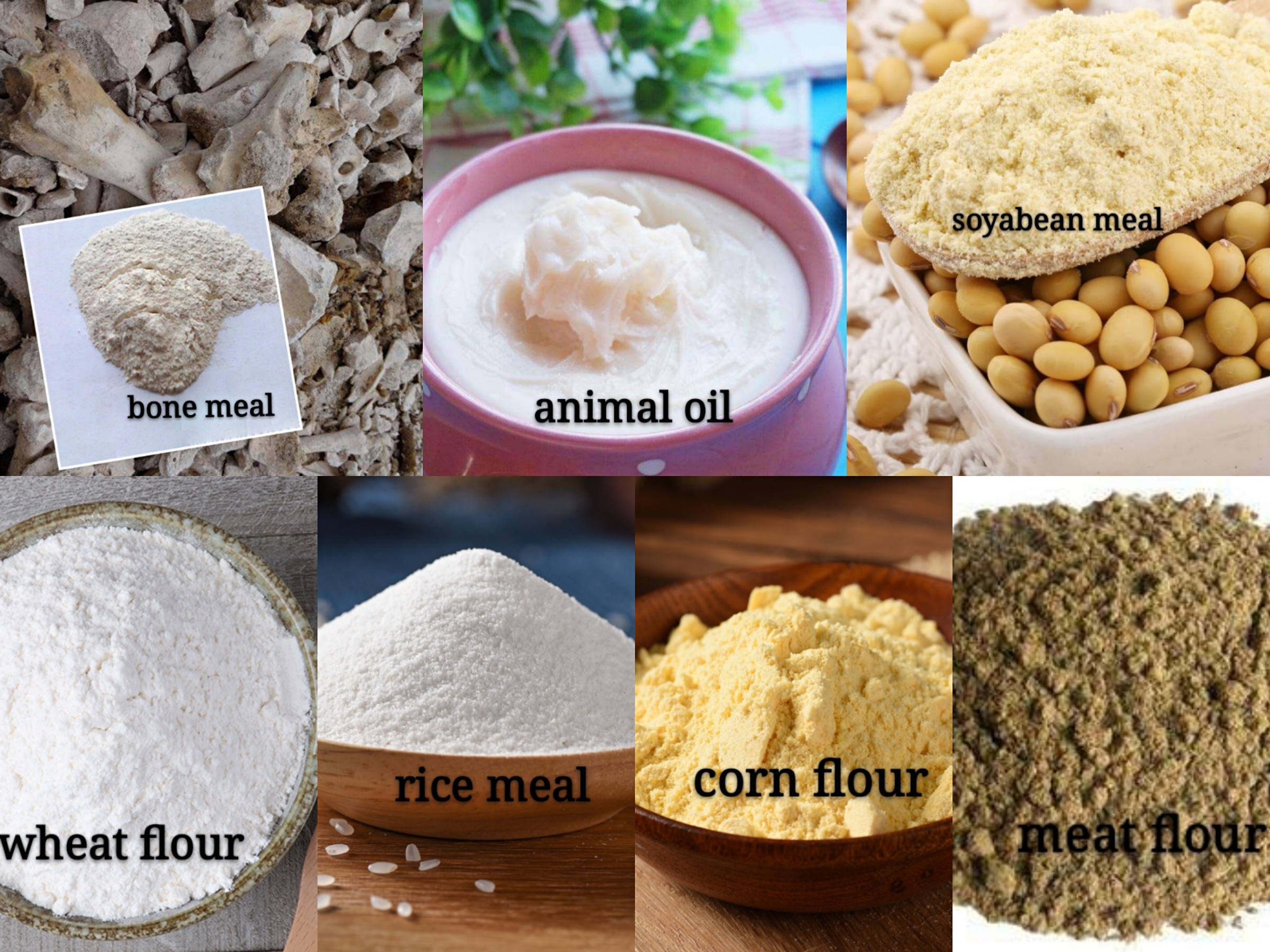 Siemens Motor Full Automatic Dog Food Pellet Making Machine for Food Beverage Demand