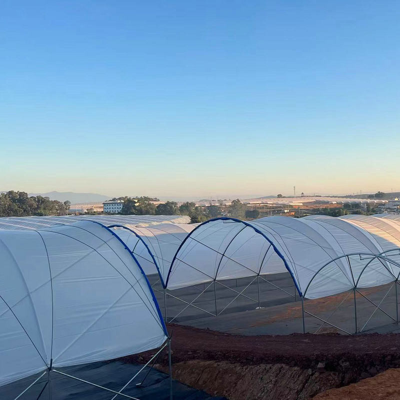 Diffused Plastic Tunnel Greenhouse 150 200 micron Berry Farm Planting Rain Shelter Green House strawberry