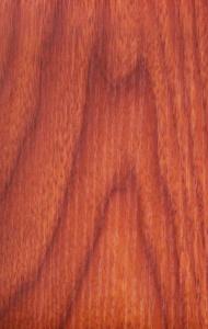 Quality SGS Wood Grain Wall Paneling 9mm Thickness Anti-corrosion Insect Prevention wholesale