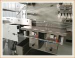 Bread, Chocolate, Biscuit Packing Machine / 50-60Hz Snack Food Packaging