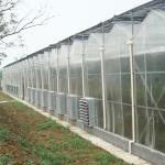 Agricultural Flowers Shading Multi Span Hot Dipped Galvanized Polycarbonate