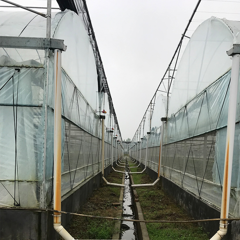 Customizable Temperature-Controlled Greenhouse for Large-Scale Plant Cultivation