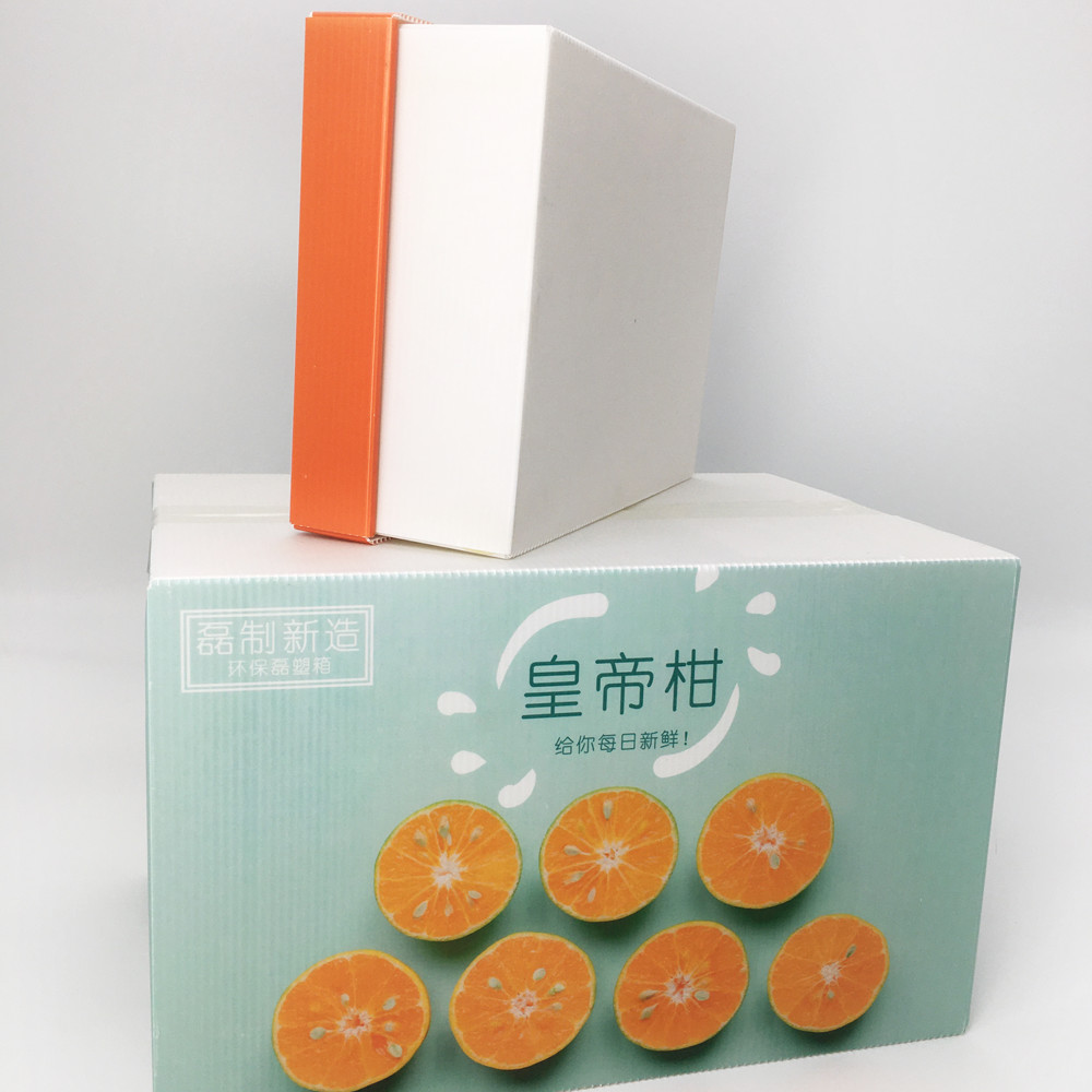 Supermarket Promotion Corrugated Plastic Carton For Shelves Space Saving RoHS