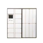 CRS Steel Dry Cleaning Locker For Laundry Business With Wifi 3G Internet