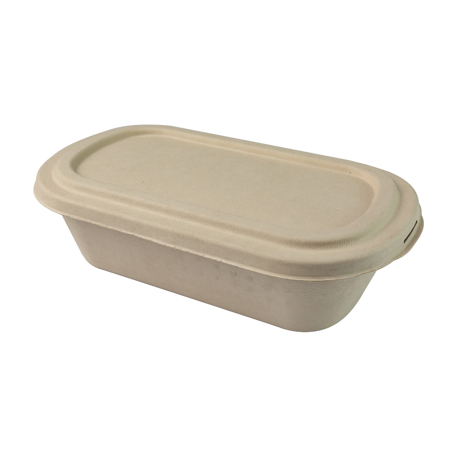Biodegradable Sugarcane Bagasse Food Container Pulp Lunch Food Take Away Tableware