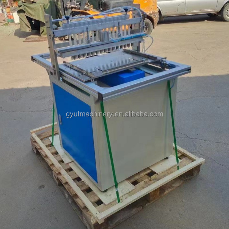 200 KG Full Automatic Seedling Machine for Lettuce Seeds Tray Key words Nursery Making