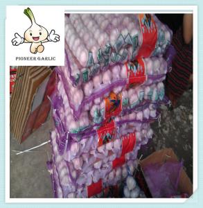 Quality China Fresh White Natural Garlic Supplier garlic for sale 5pcs in 10kg carton jining wholesale