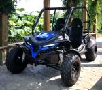 6000rpm GY6 Engine 2.64 Gal Gas Utility Vehicles