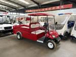 Buggy Cart 2 Seater 12 Inch Golf Utility Cart Electric With Cargo Box Vehicle