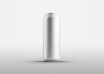 Spray Liner 12oz 355ml Sleek Aluminum Can 202 CDL Lid