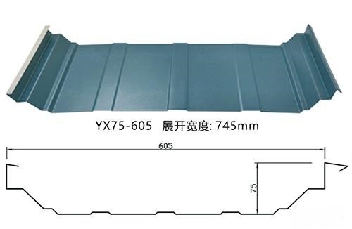 40-Years Warranty High Performance Sheet PPGI Z180 PPGL AZ150 RAL9005 Black Color Building Roof Villa Metal Colored Roof