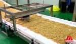 380V Granola Production Line