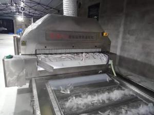 Quality Fast Freeze Chest Quick Freeze Freezer Seafood Meatfish 2800 Kg/H 3500 Kg/H wholesale