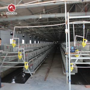 Quality Q235 Chicken Cages Poultry Farming Equipment 3-6mm Thickness wholesale