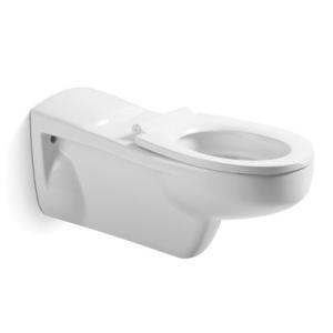 Quality Ceramic Sanitary Ware Disabled Toilet Set Wall Hung For Disable People wholesale