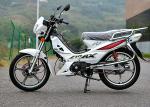 Energy Saving Tunisia Motorcycle Forza Max 110CC White Color Long Service Life