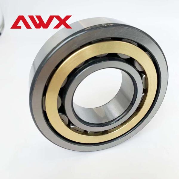 AWX Free Samples Cylindrical Roller Bearings Double Row Type NJ230EM NJ232EM