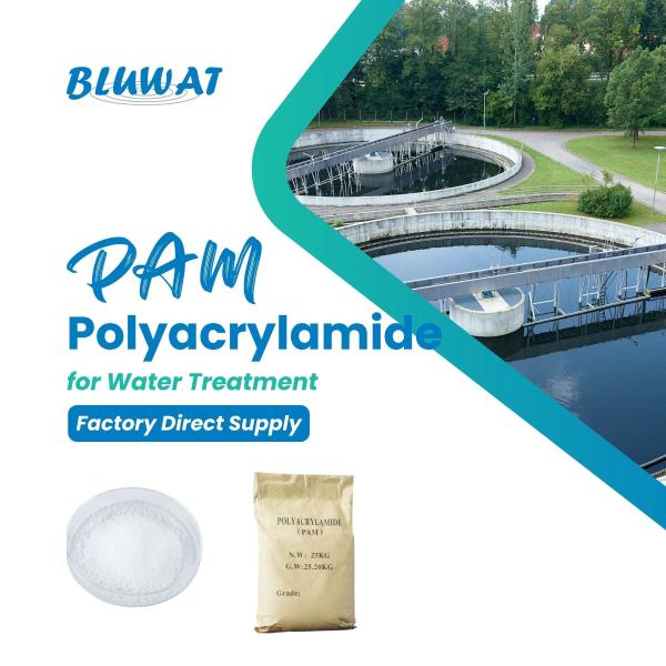 Water Purification Chemicals Cationic Polyacrylamide Cpam White C3H5NO
