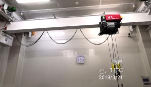 Quality 1000KG Capacity Pharma Clean Room Cranes IP54 Protection Grade wholesale