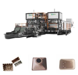 Quality Paddy Nursery Tray Machine Automatic Fiber Process Forming Machines wholesale