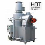 Waste Burning Treatment Equipment Stainless Steel Pyrolysis Gasification