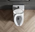 Wc Disabled Toilet Bowl S trap 300/400mm Siphonic Jet Flushing