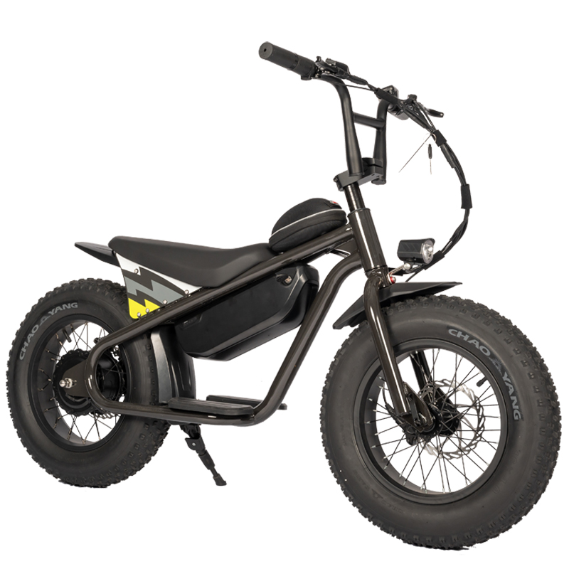 Aluminum Alloy Frame Kids Motorcycle Ebike 250W Motor 13Ah Battery High Safety Factor