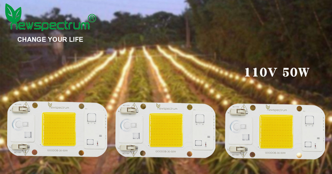 Circuitry Design 50 Watt cob Led Aluminium Material Smd Led Module