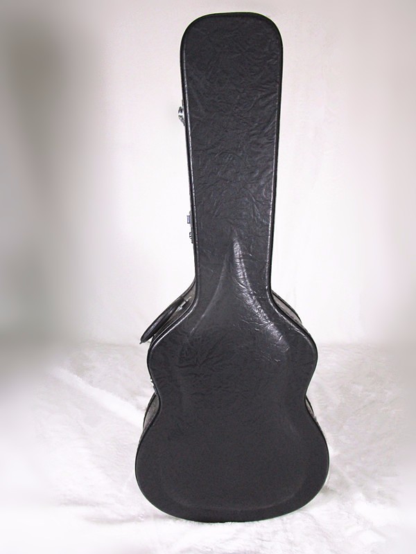 guitar case