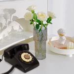 Celebrating Milestones Voicemail Audio Guest Book 10hrs Audio Guestbook Phone