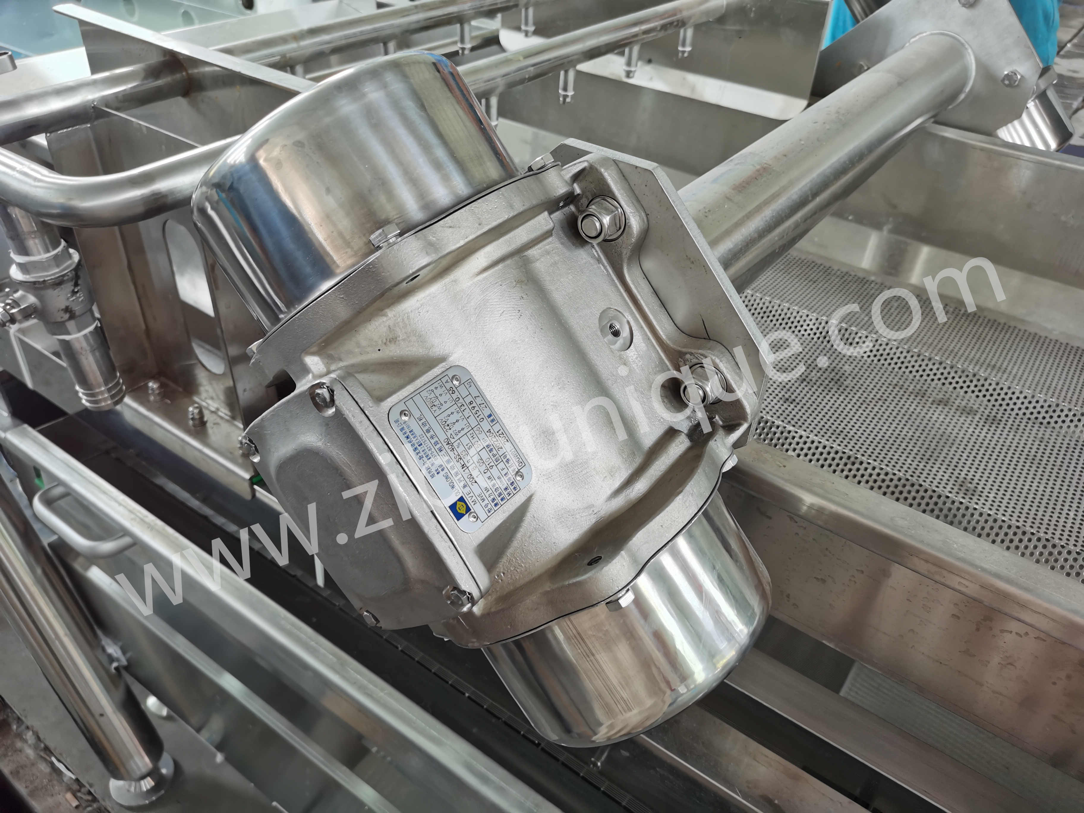 CE Certified Salad Lettuce Washer Washing Machine for Fresh and Clean Produce