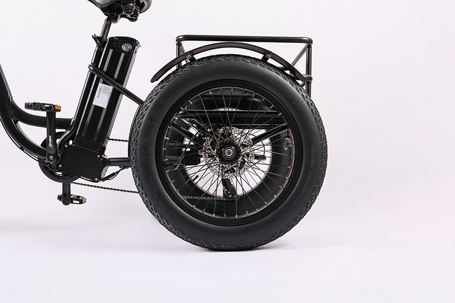 High Capacity Family Cargo Bike with Torque 80-90 Nm and Rear Carrier Battery Position