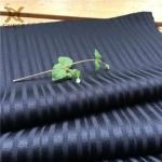 150D*300D Woven 100% Polyester Dobby Jacquard Stripes Fabric For Shirts Technics