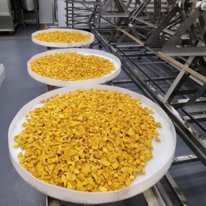 Quality 3KW Stainless Steel Microwave Vacuum Dryer Medicines Industrial Microwave Batch Oven wholesale