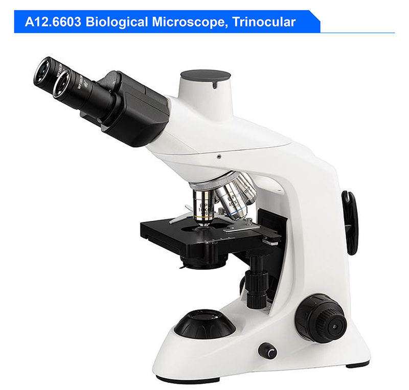 Student 1000X Compound Optical Microscope Laboratory Capillary Microscope