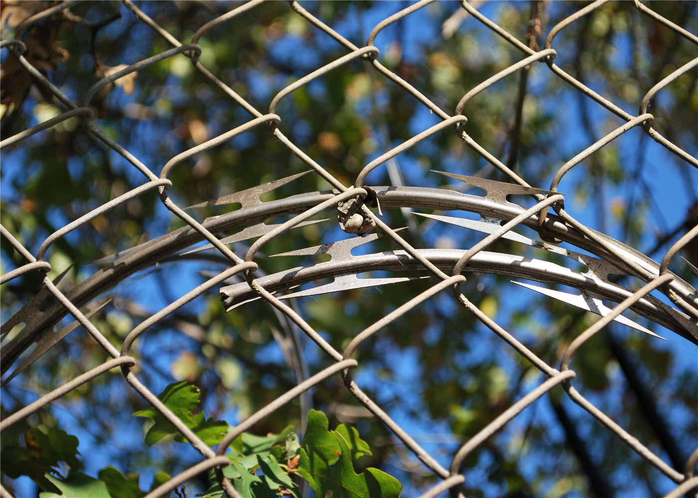 Galvanized CYCLONE FENCE Chain Link Fencing 55mm For Garden Residential