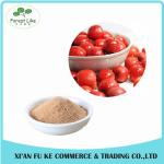 Natural Hawthorn Berry / Crataegus Fruit Powder
